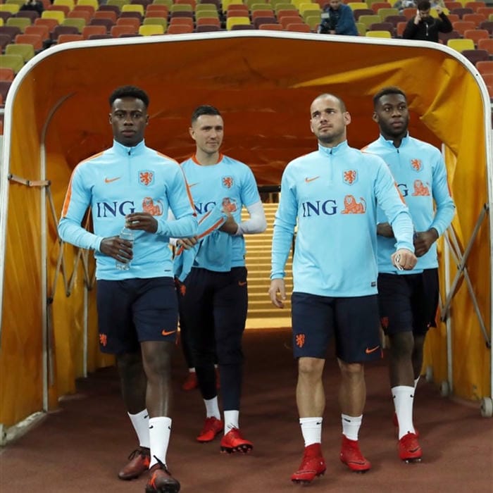 anh-wesley-sneijder (19)