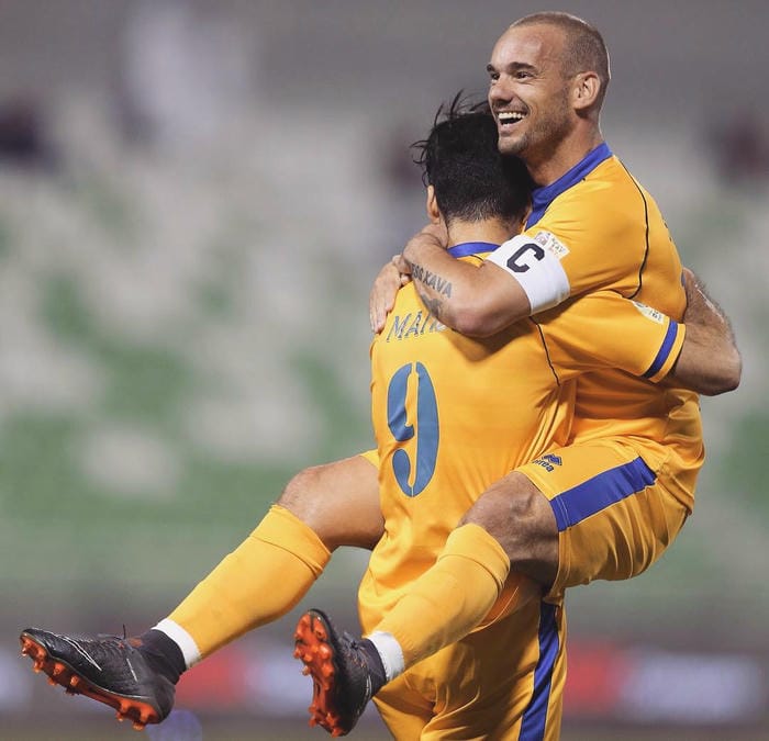 anh-wesley-sneijder (22)