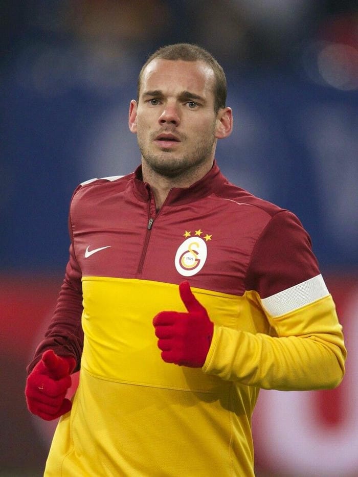anh-wesley-sneijder (3)