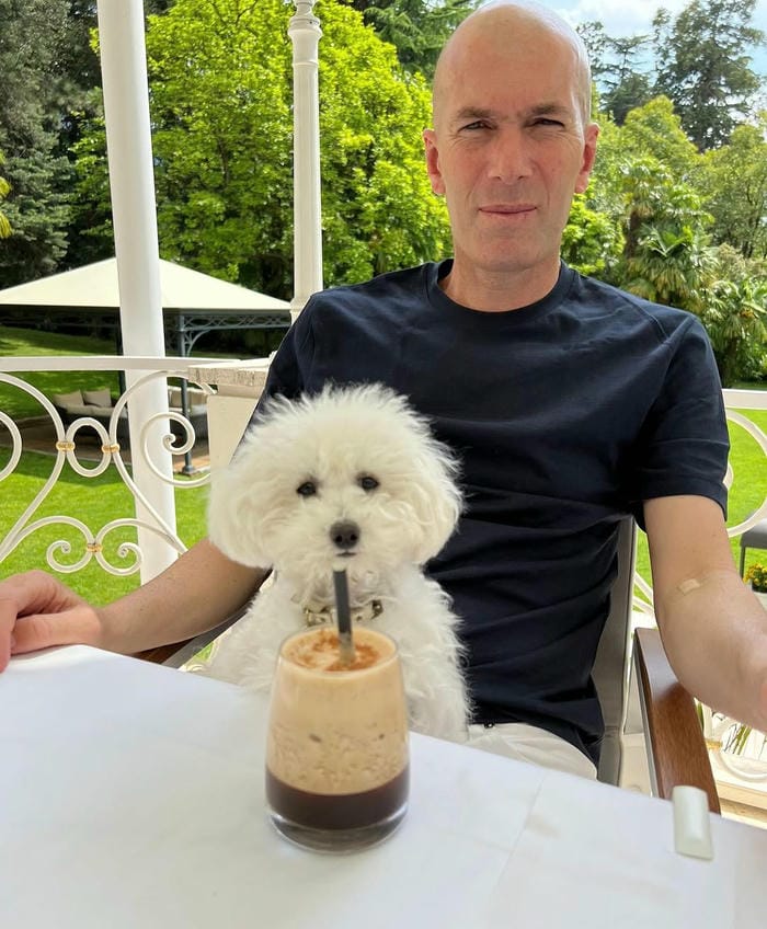 anh-zinedine-zidane (27)