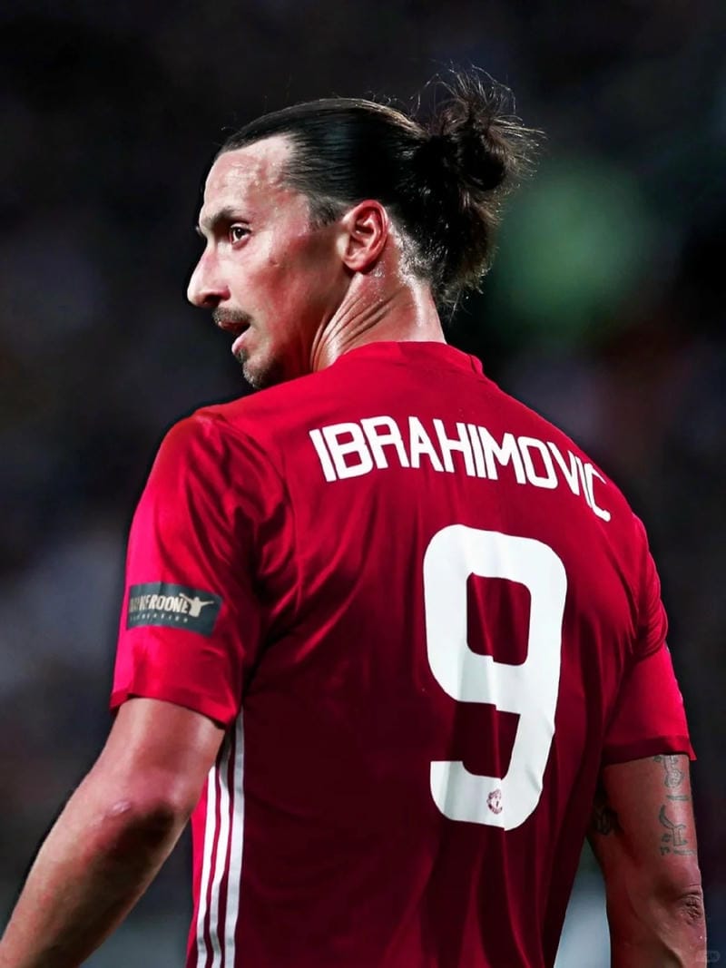 anh-zlatan-ibrahimovic (20)