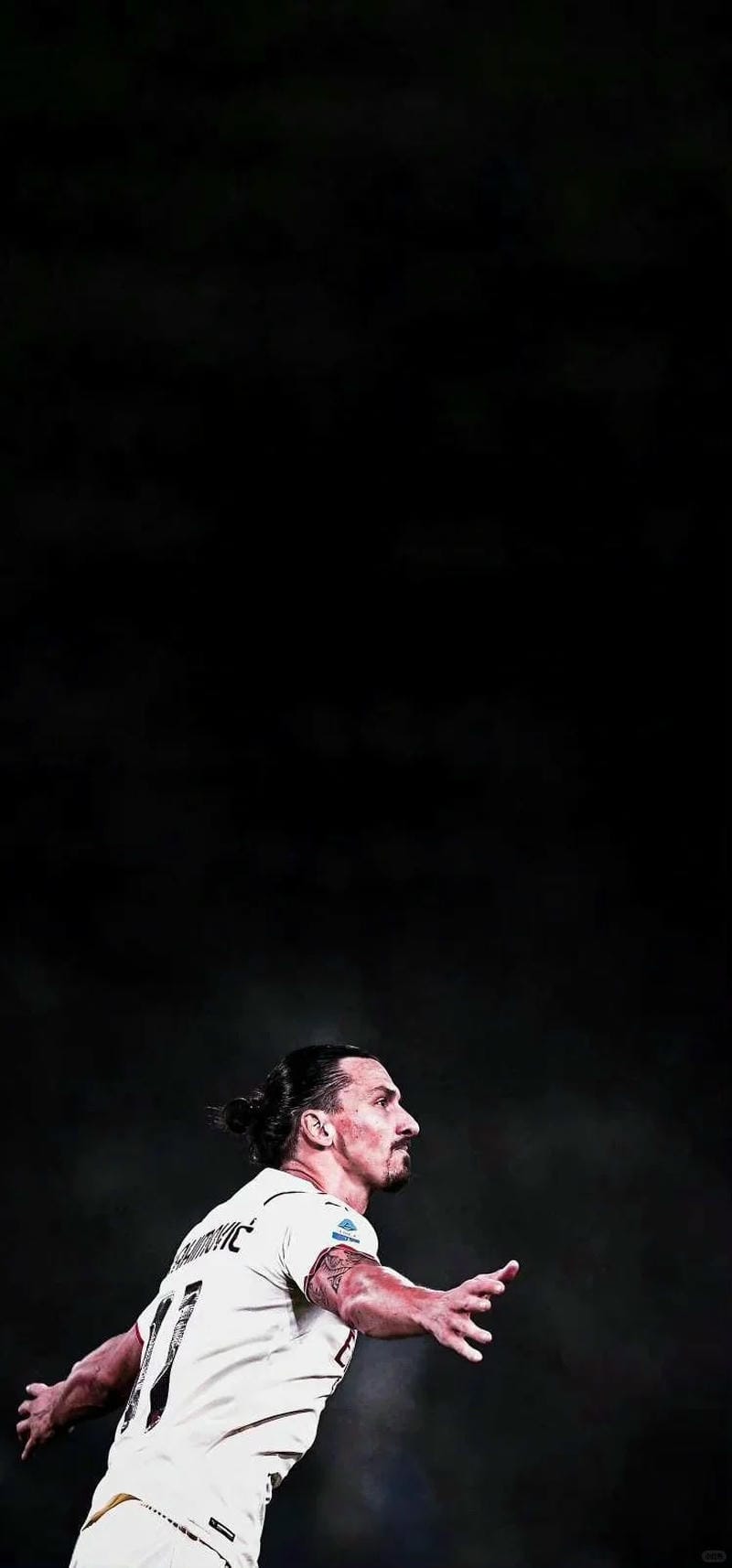 anh-zlatan-ibrahimovic (38)