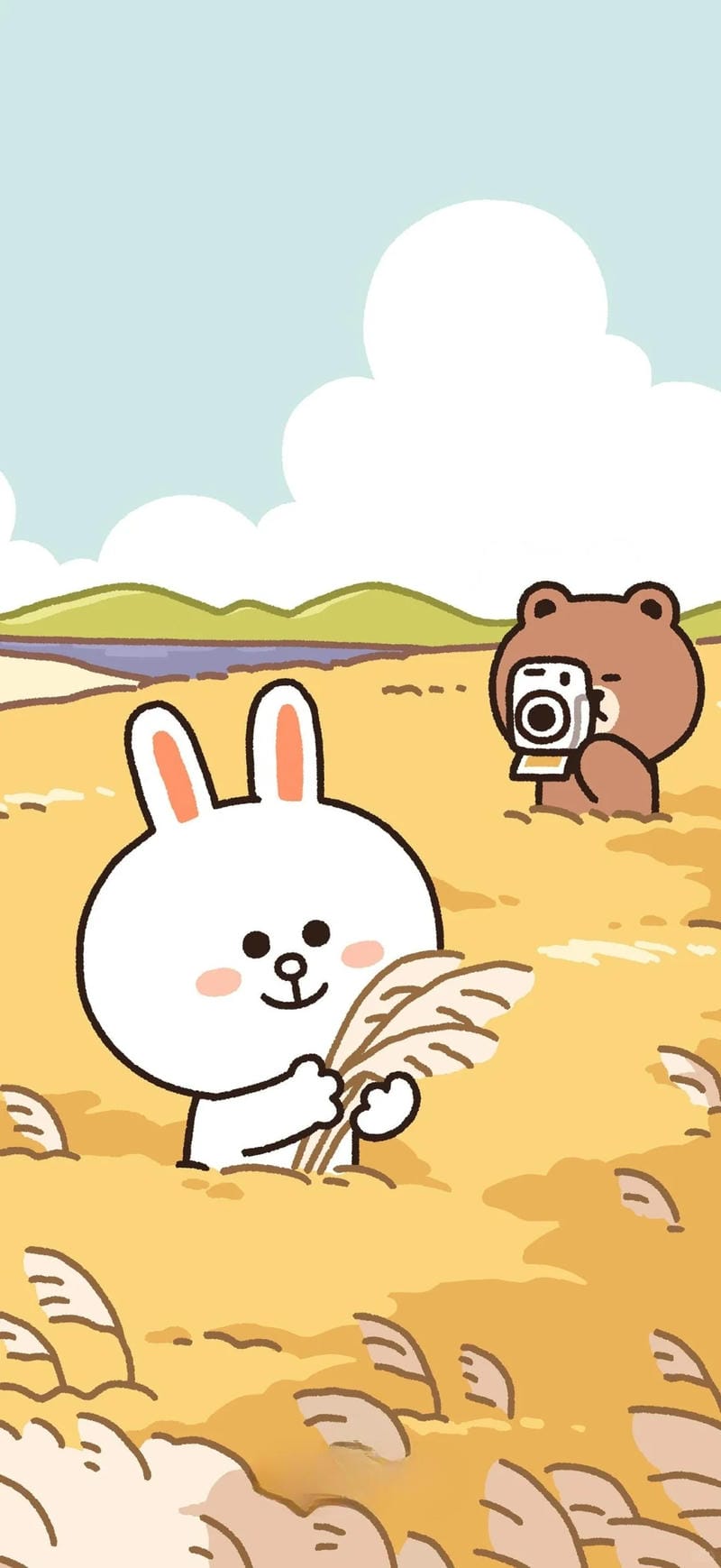 hinh-nen-brown-va-cony (16)