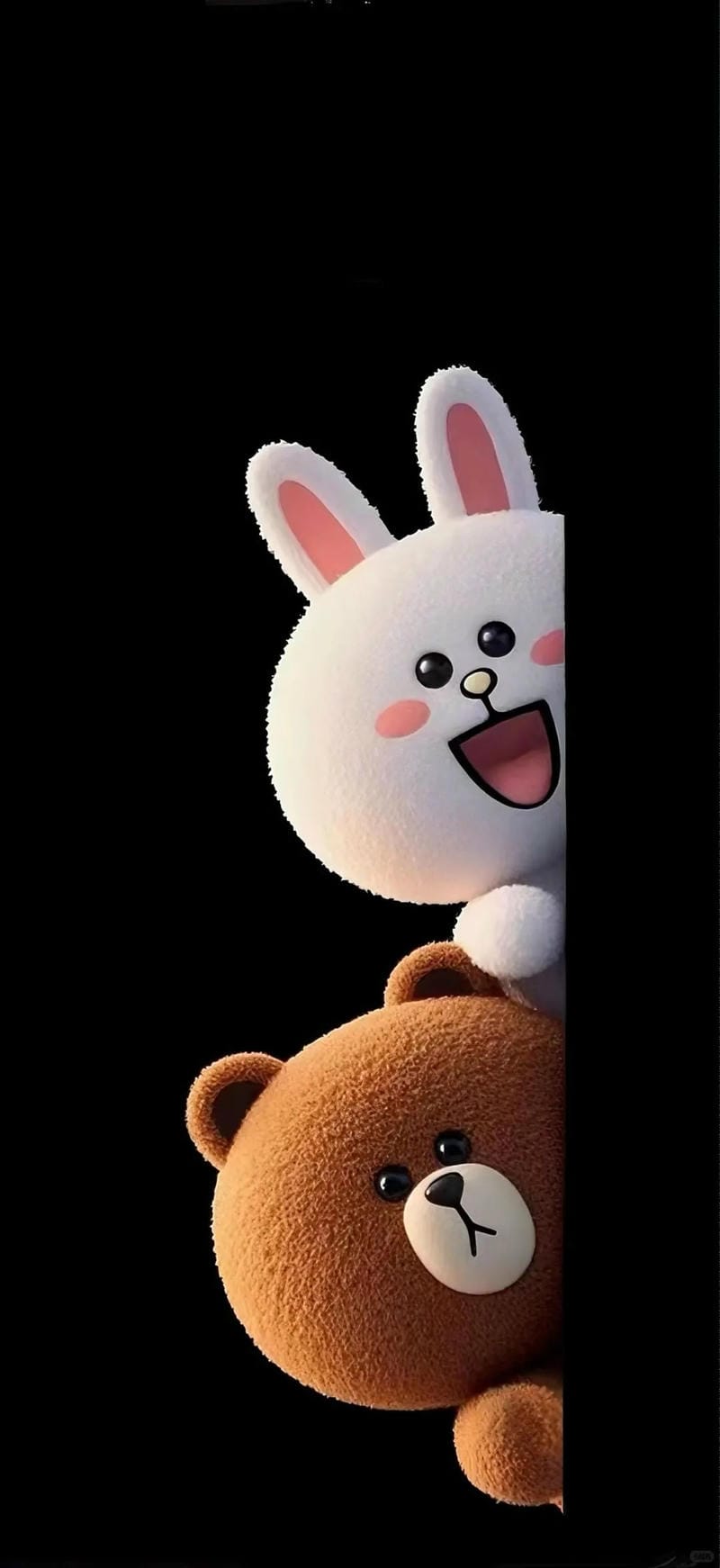 hinh-nen-brown-va-cony (26)