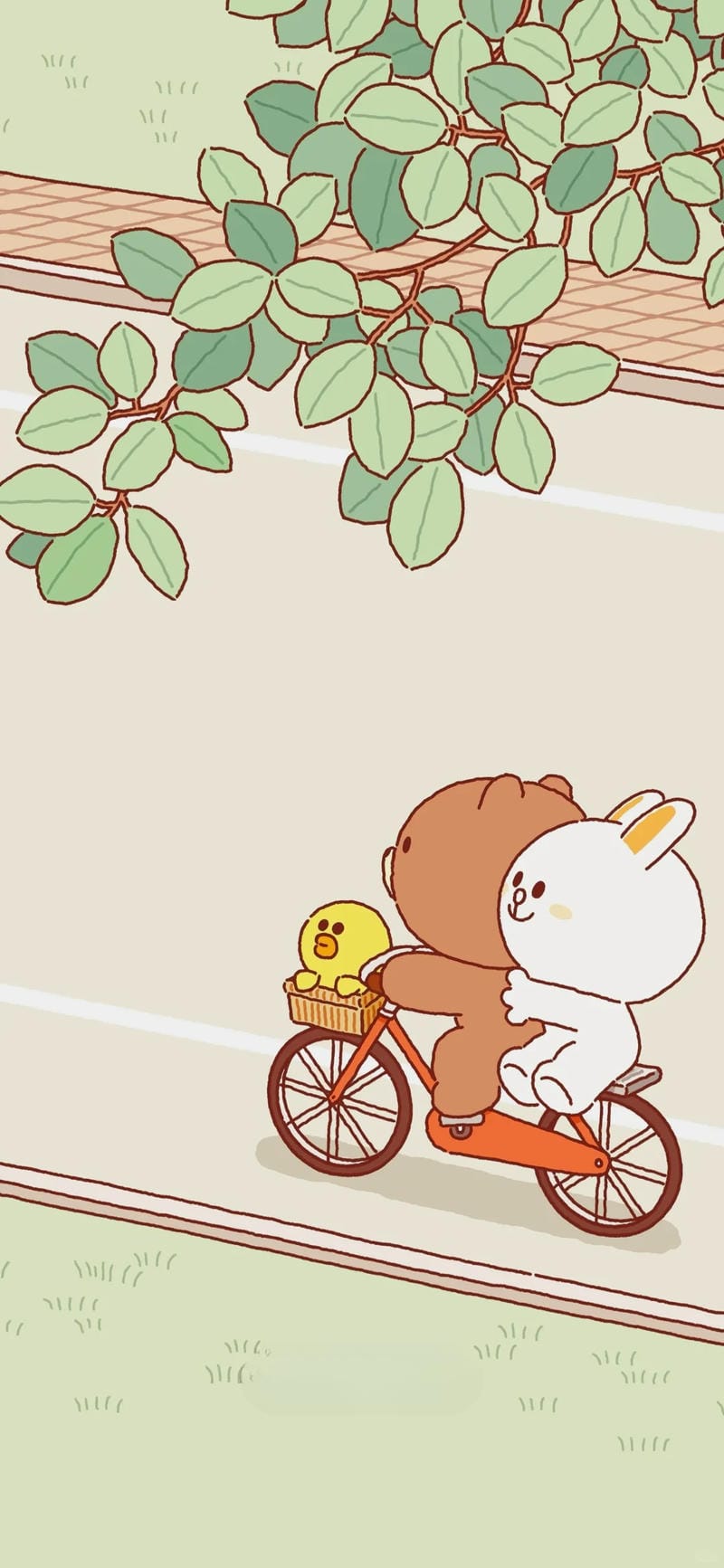 hinh-nen-brown-va-cony (39)