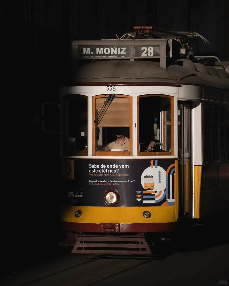 hinh-nen-co-don (10)