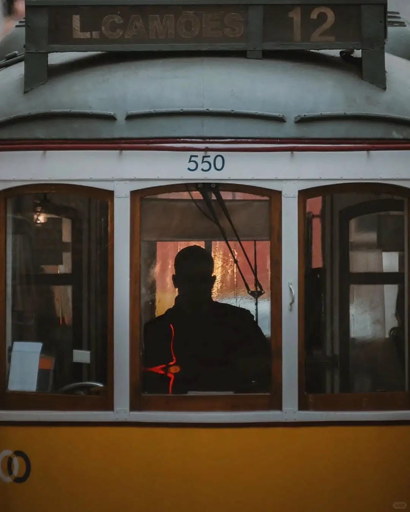 hinh-nen-co-don (12)