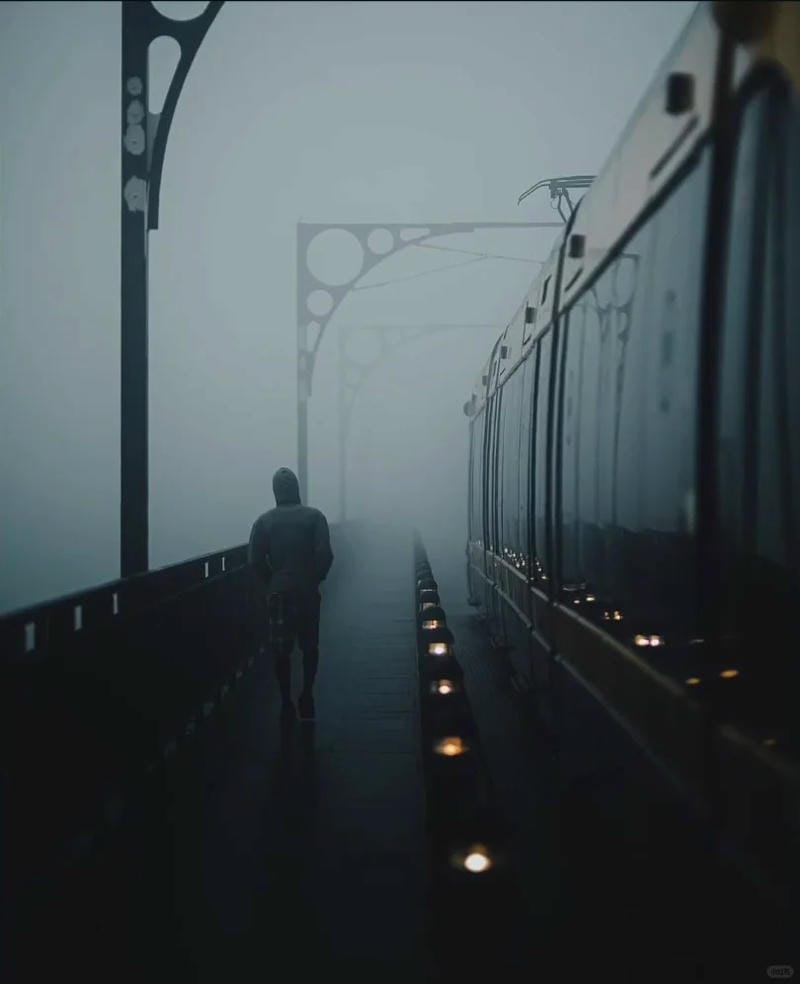 hinh-nen-co-don (38)