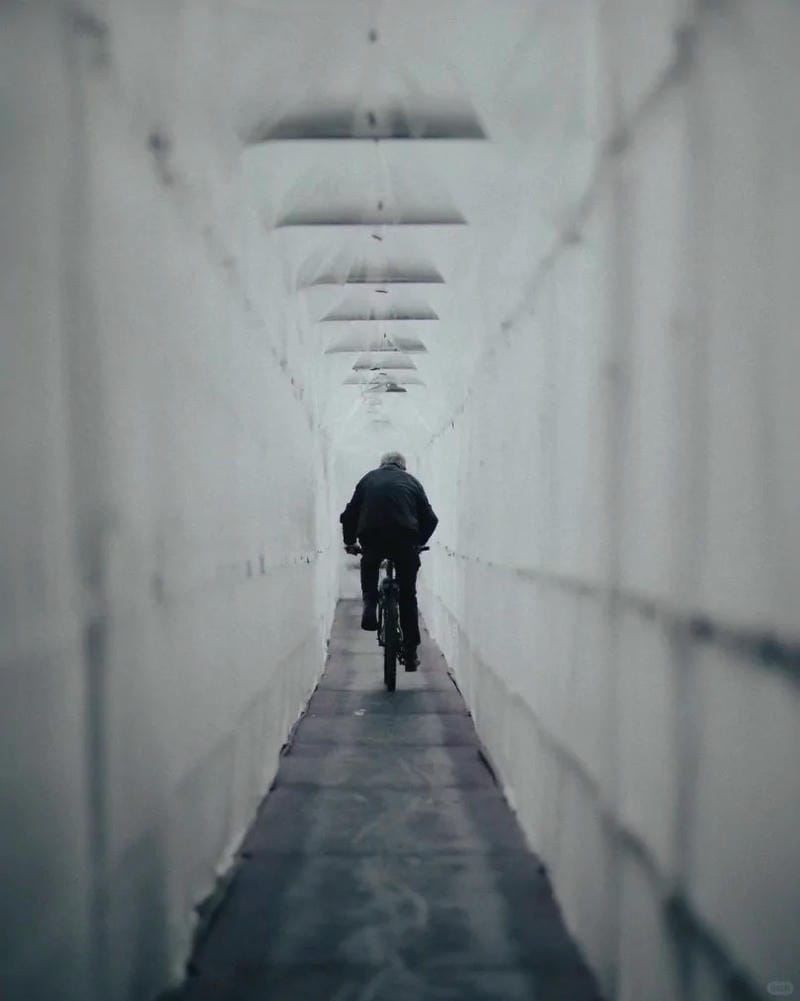 hinh-nen-co-don (39)