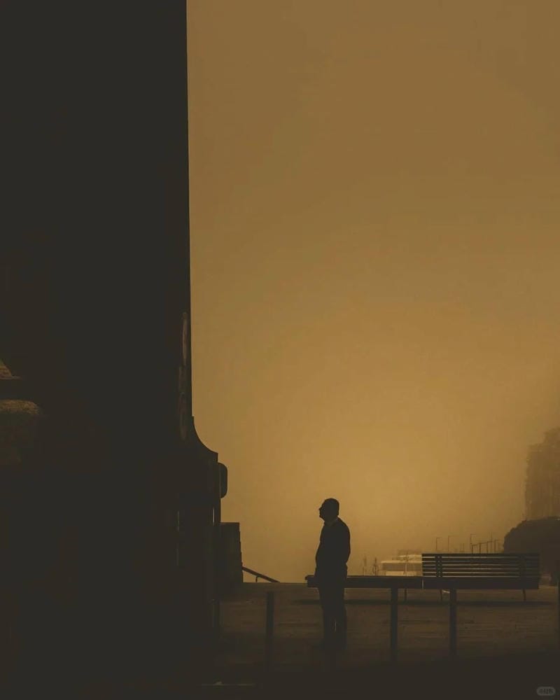 hinh-nen-co-don (40)