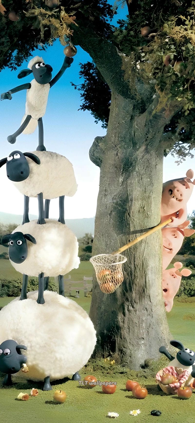 hinh-nen-con-cuu (3)