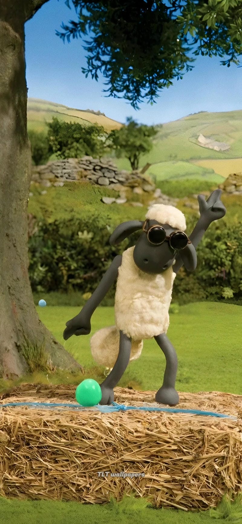 hinh-nen-con-cuu (5)