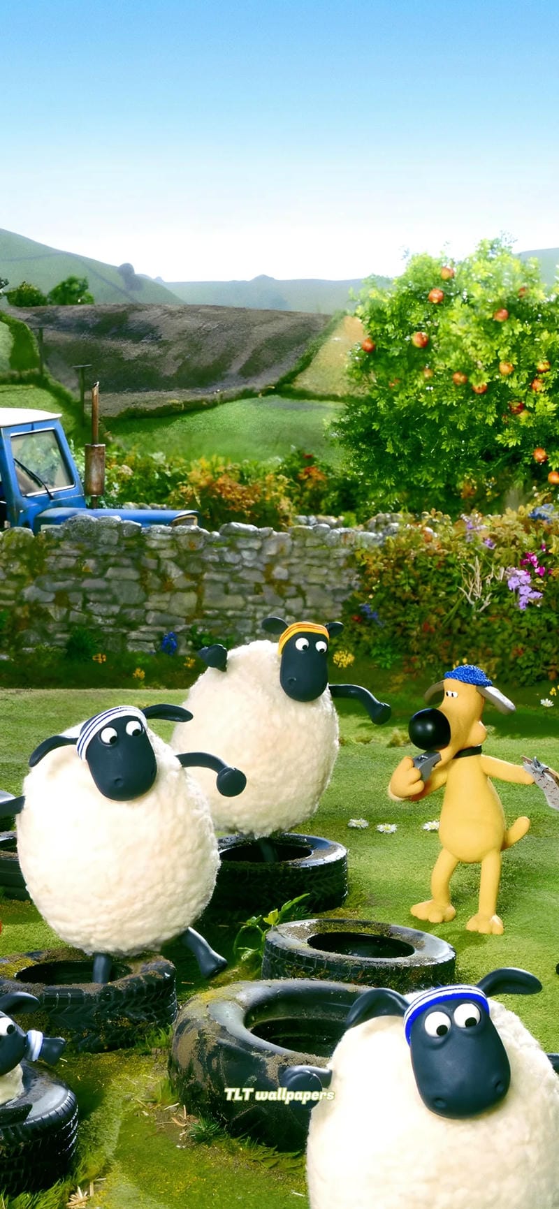 hinh-nen-con-cuu (8)