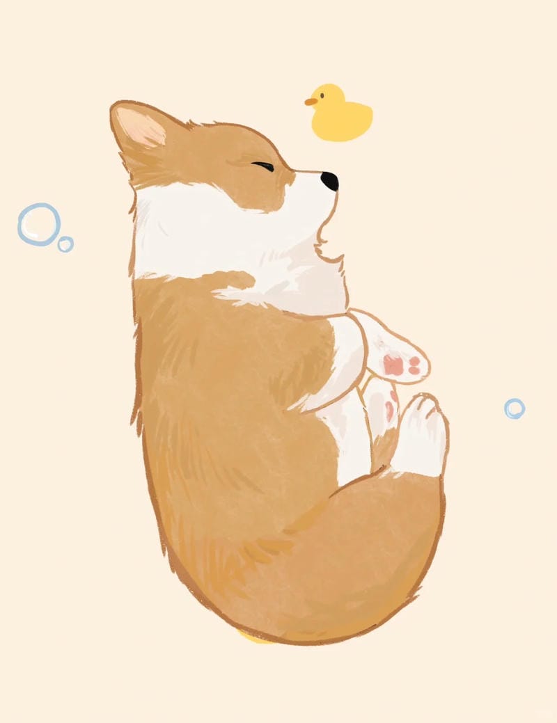 hinh-nen-corgi (15)