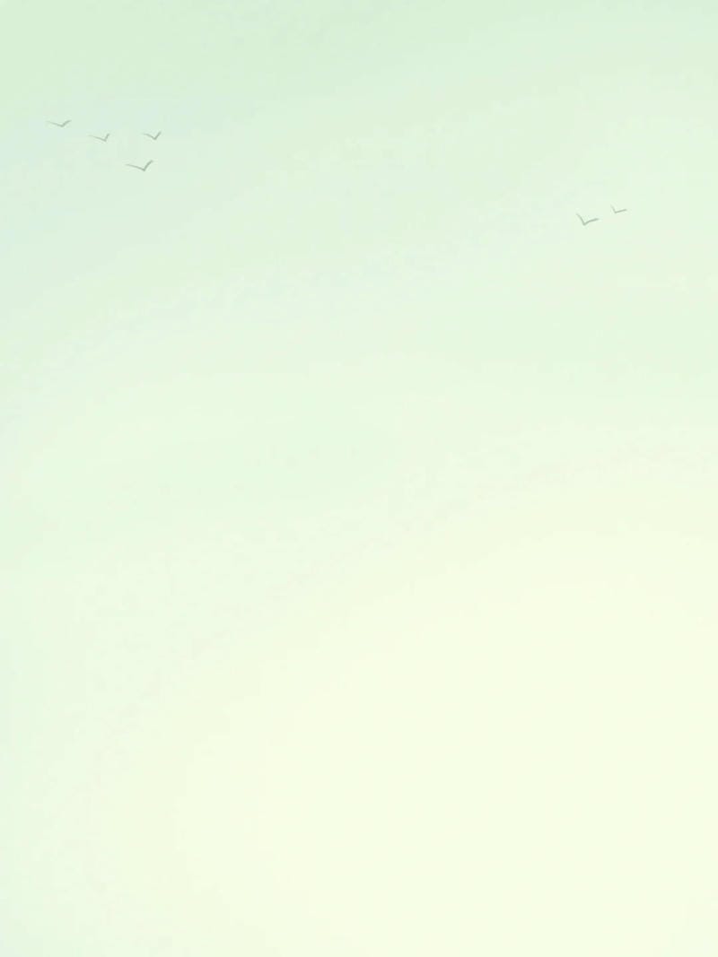 hinh-nen-don-gian (2)