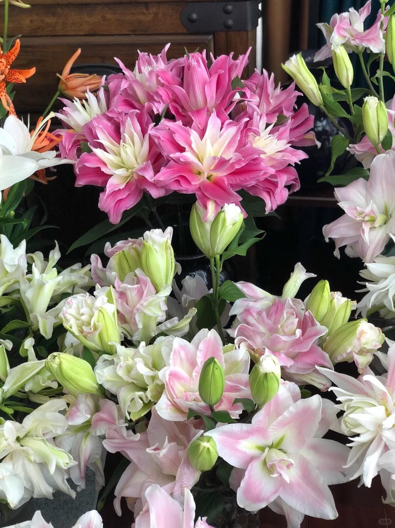 hinh-nen-hoa-lily (1)