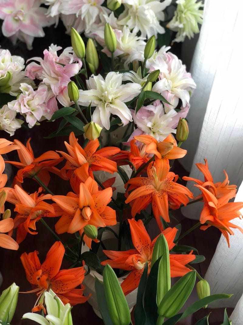 hinh-nen-hoa-lily (2)