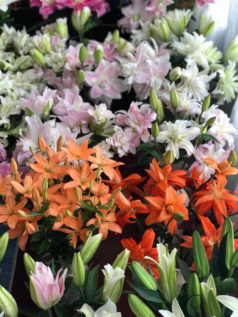 hinh-nen-hoa-lily (4)