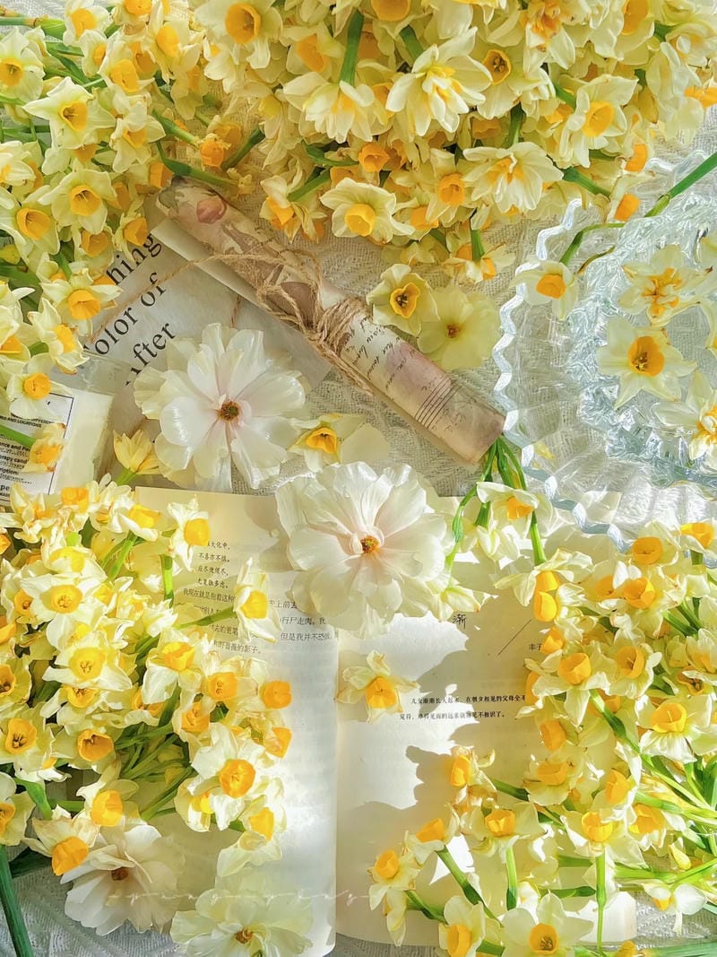 hinh-nen-hoa-thuy-tien (34)