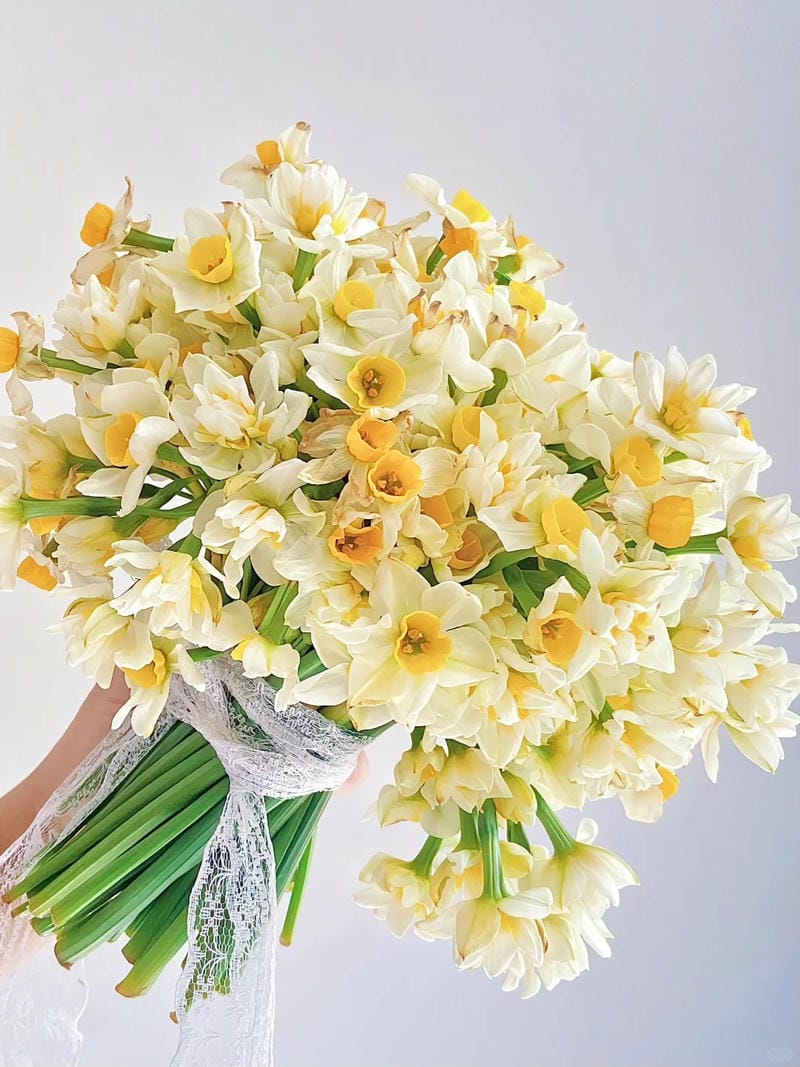 hinh-nen-hoa-thuy-tien (36)