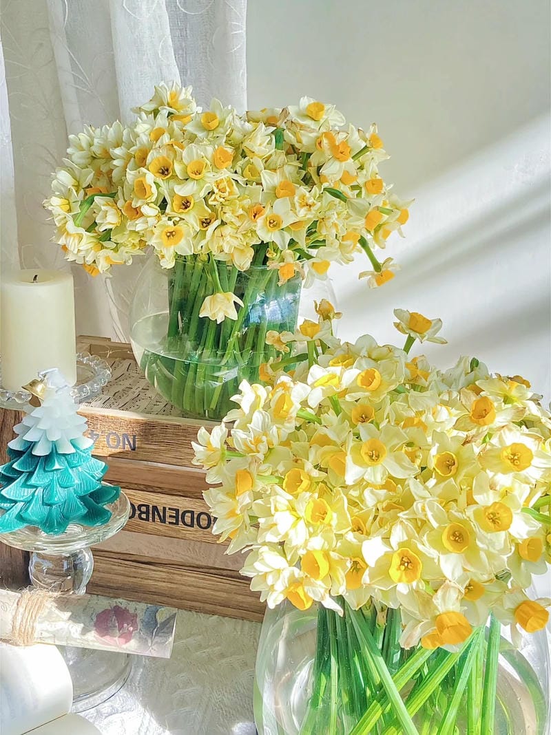 hinh-nen-hoa-thuy-tien (37)