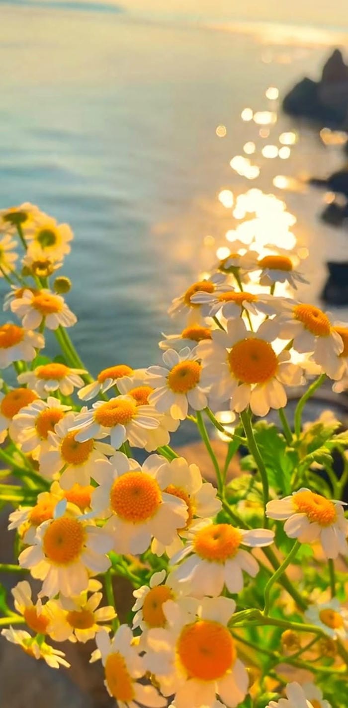 hinh-nen-man-hinh-khoa (28)