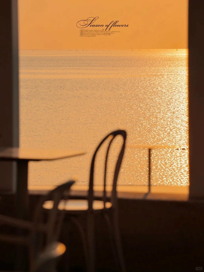 hinh-nen-mau-cam (1)