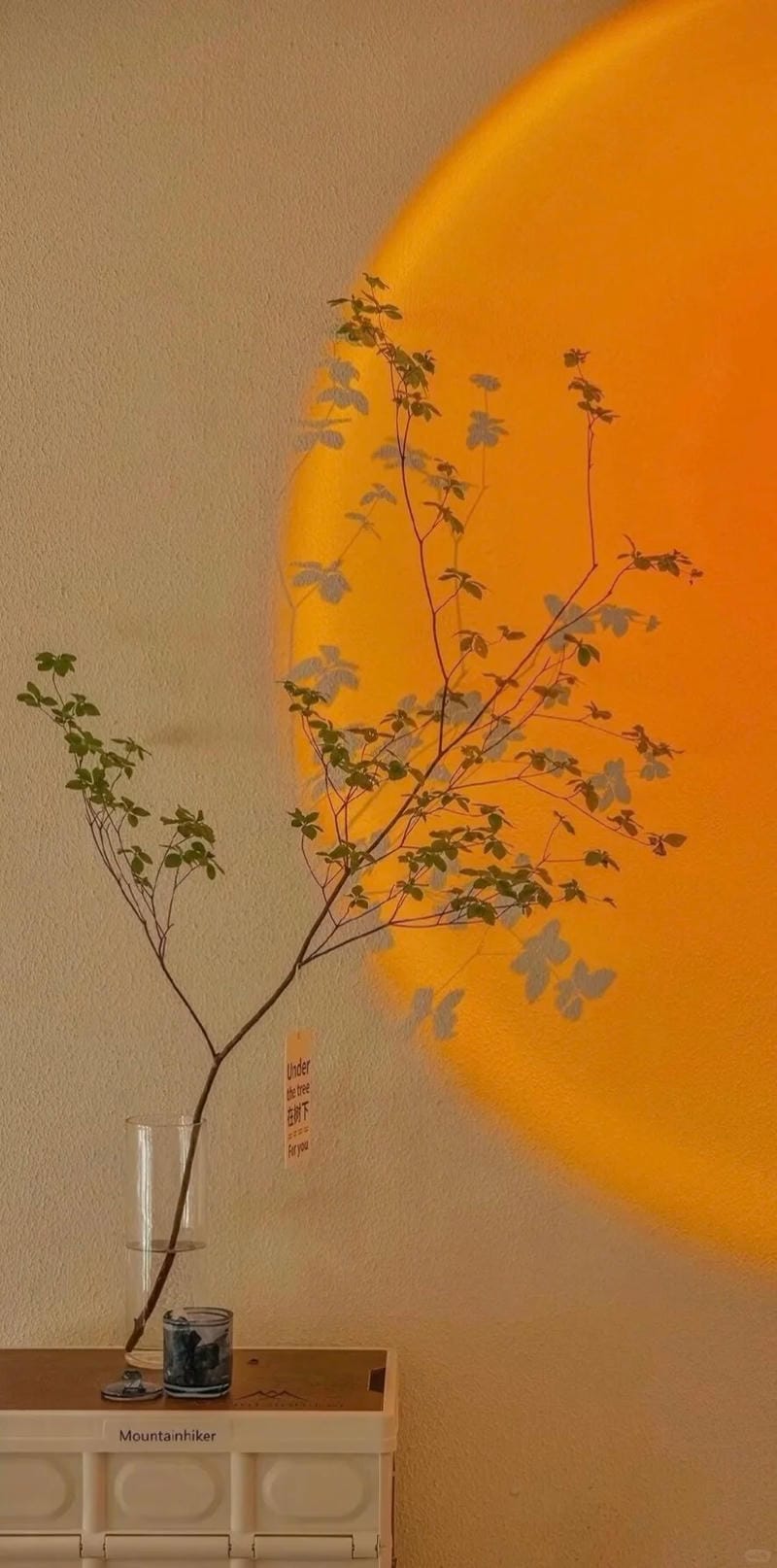 hinh-nen-mau-cam (11)