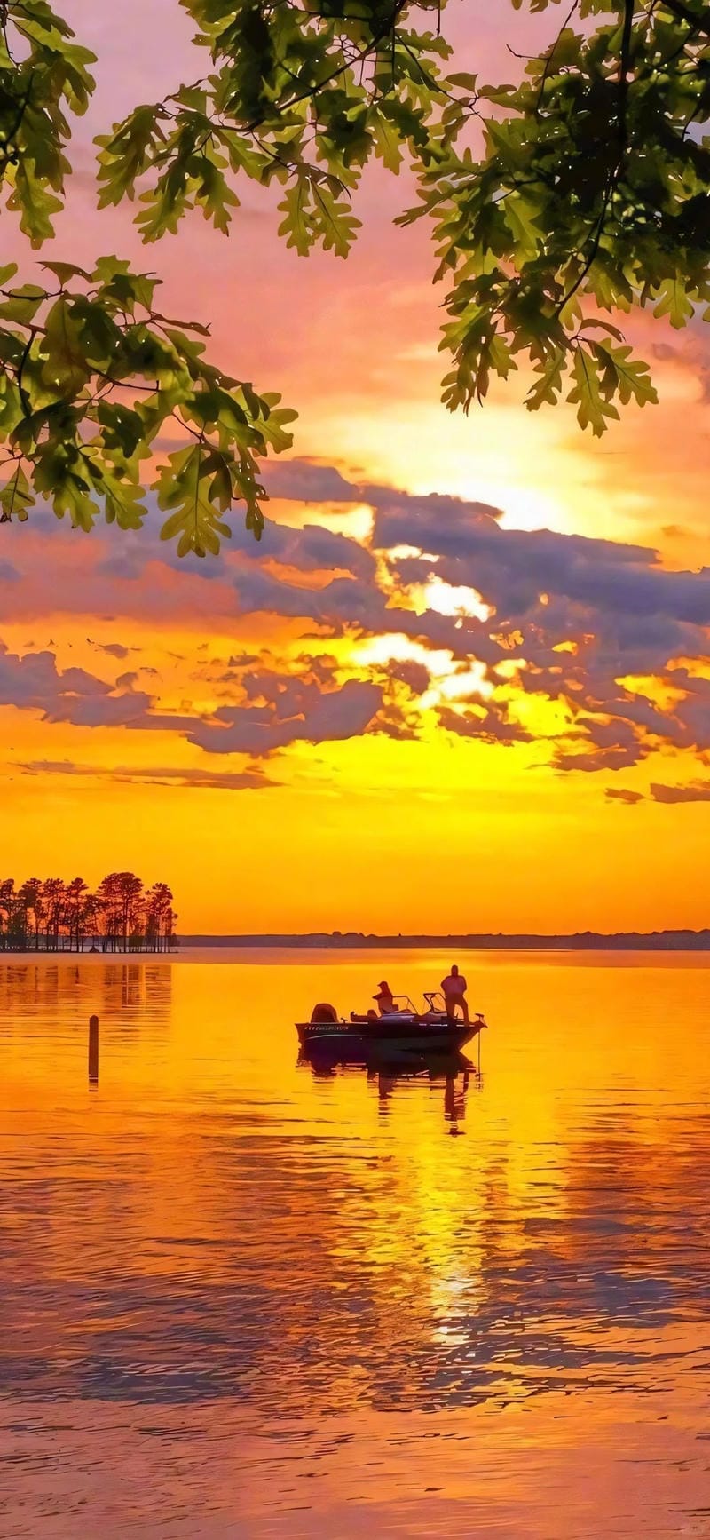 hinh-nen-mau-cam (15)