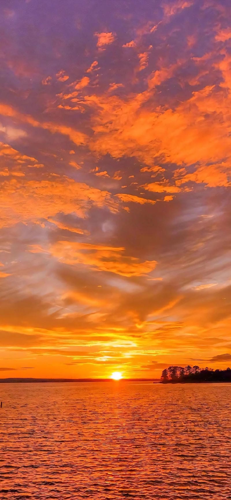 hinh-nen-mau-cam (18)