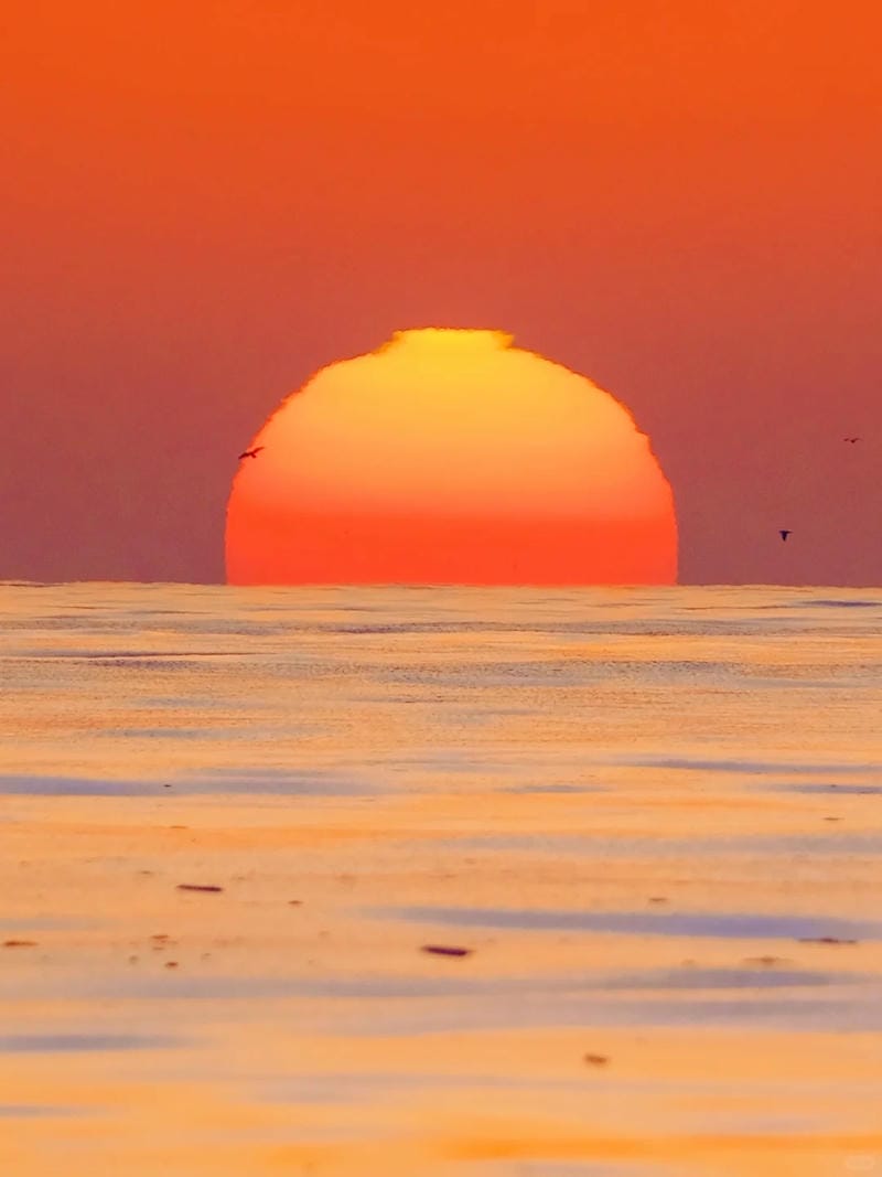 hinh-nen-mau-cam (19)