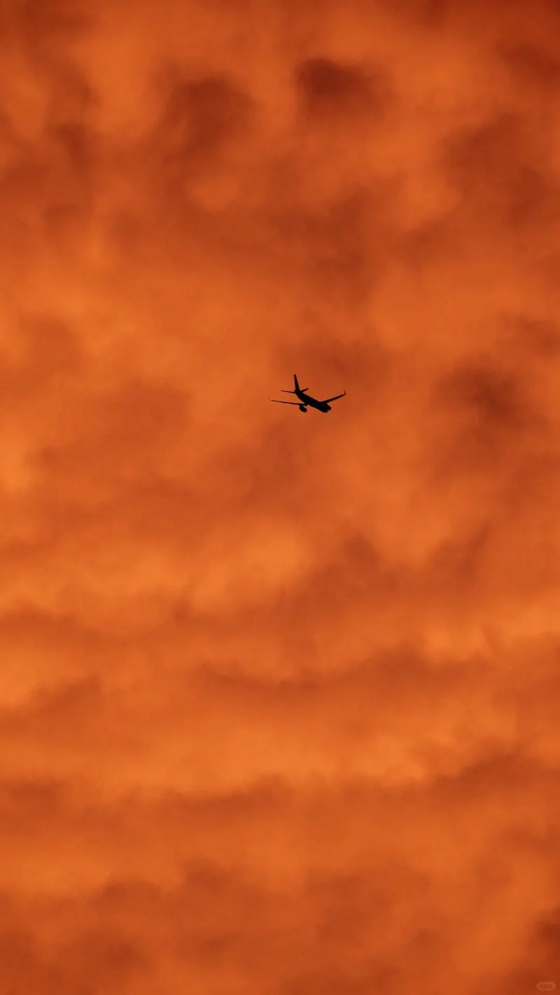 hinh-nen-mau-cam (21)