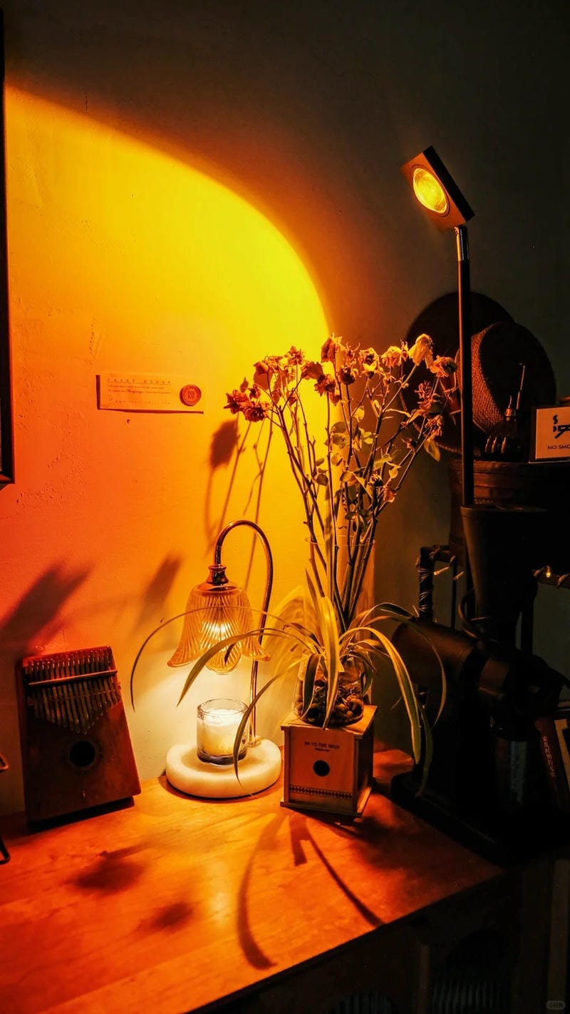 hinh-nen-mau-cam (22)