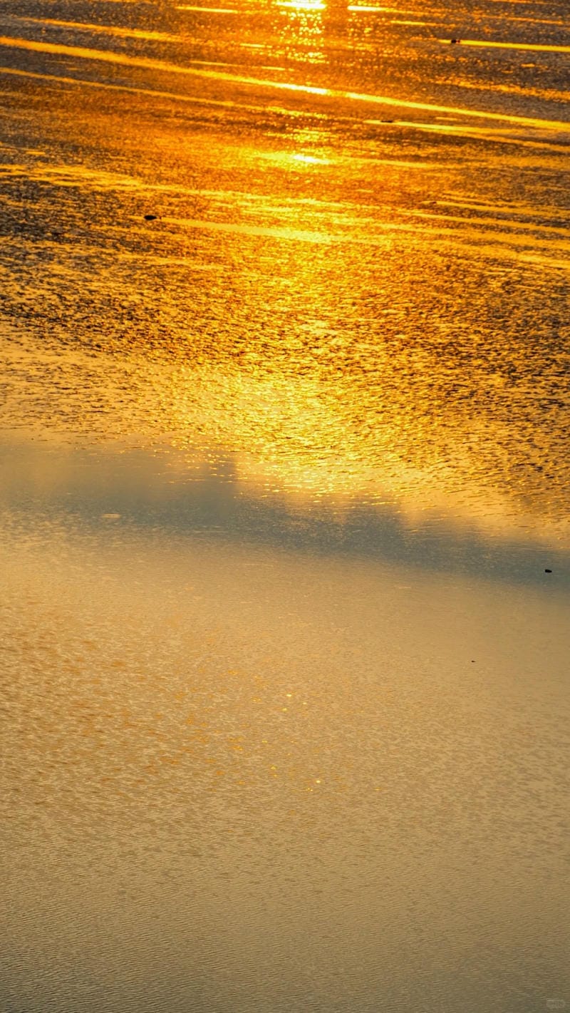 hinh-nen-mau-cam (23)