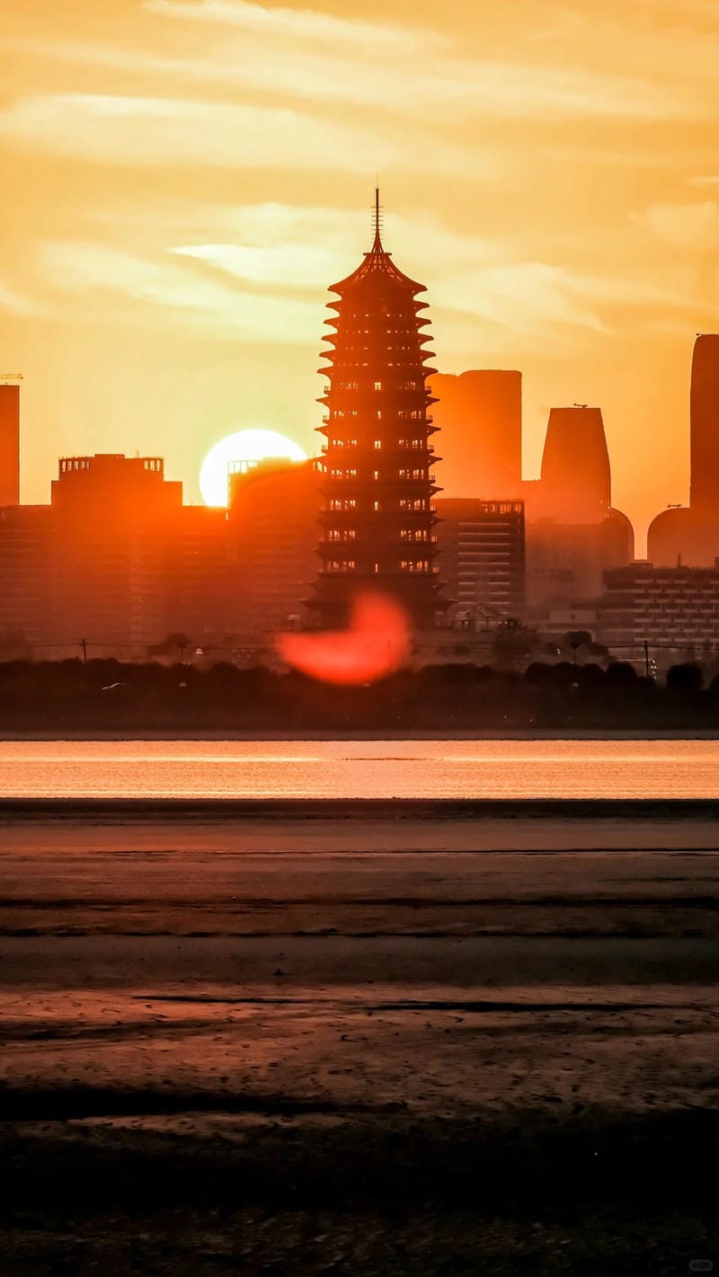 hinh-nen-mau-cam (25)