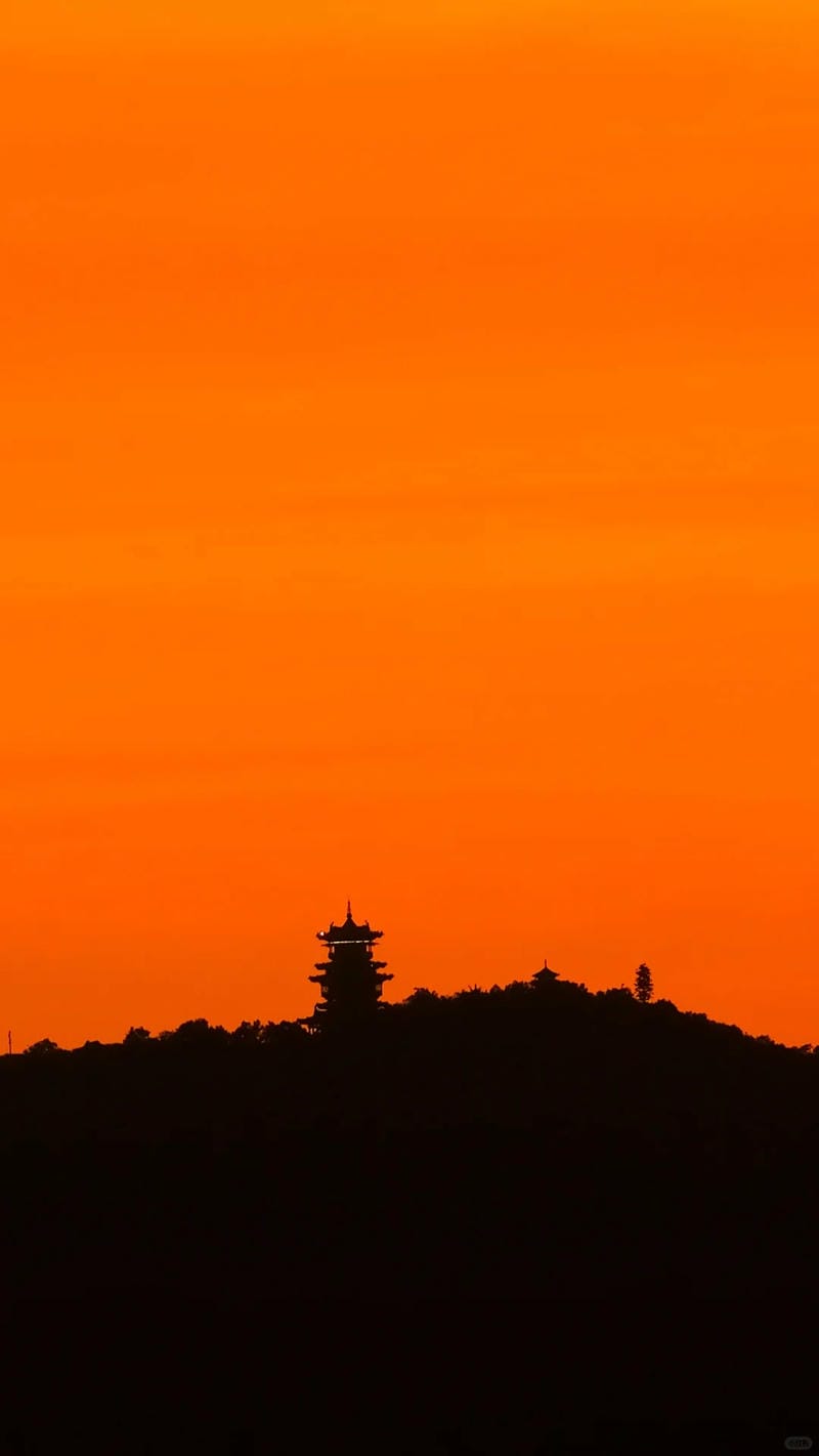 99+ Hình nền màu cam rực rỡ, tạo không gian năng động cho thiết bị của bạn