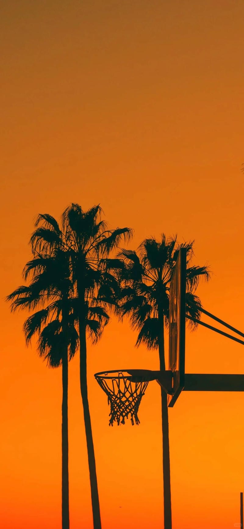 hinh-nen-mau-cam (28)