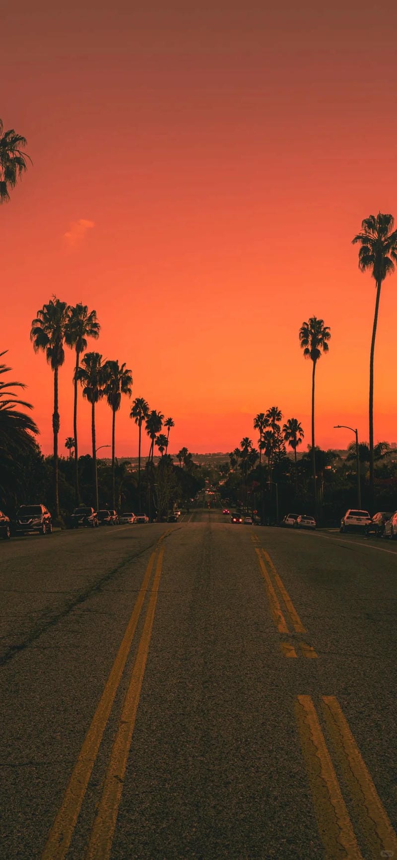 hinh-nen-mau-cam (29)