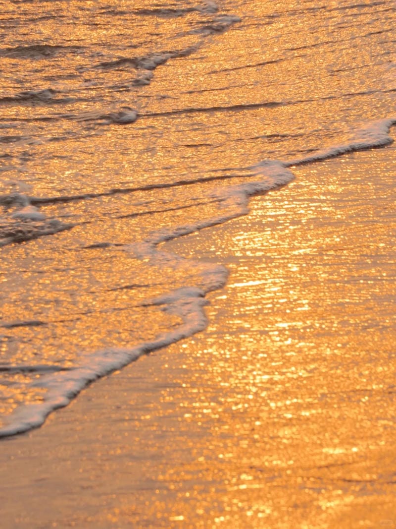 hinh-nen-mau-cam (3)