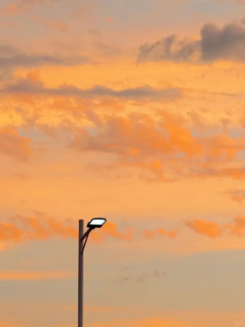 hinh-nen-mau-cam (5)