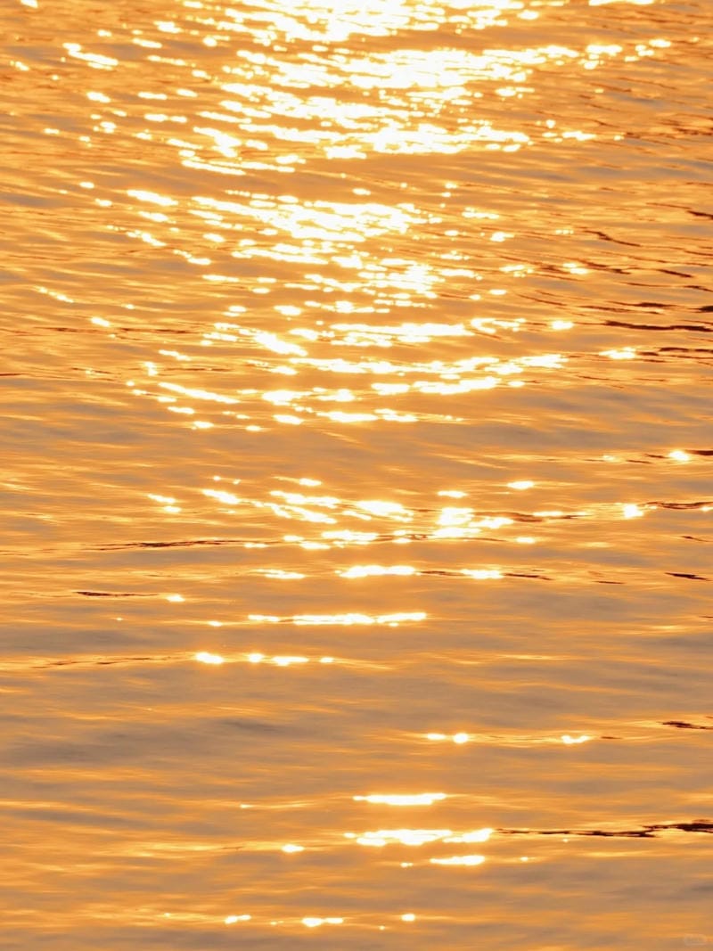 hinh-nen-mau-cam (7)