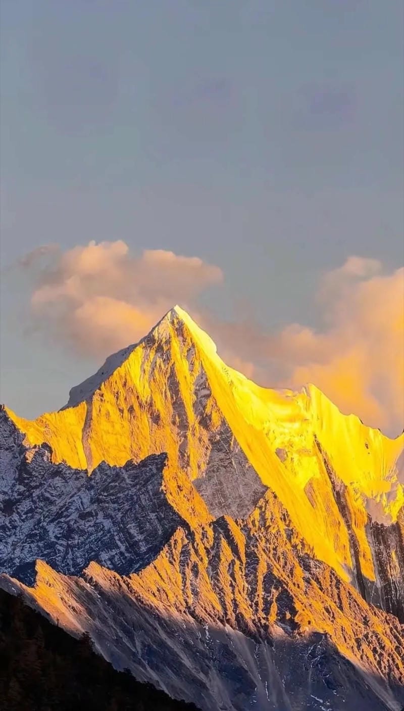 hinh-nen-menh-tho (1)