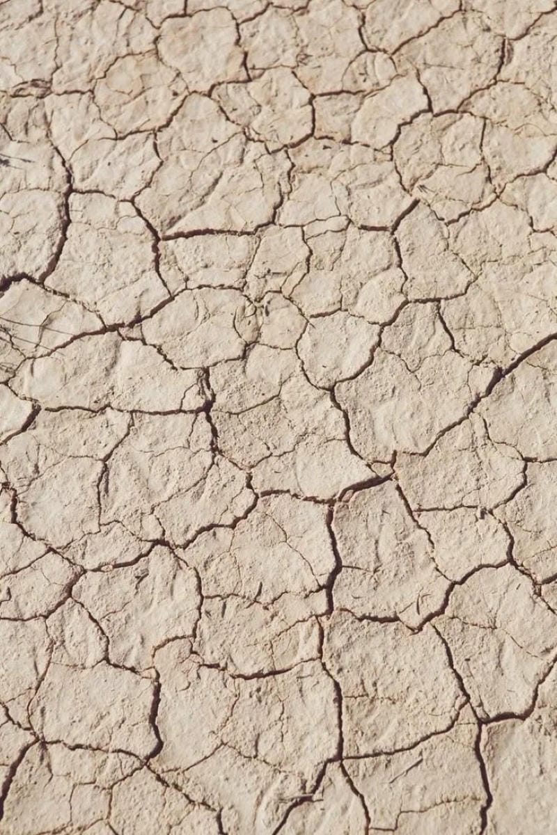 hinh-nen-menh-tho (21)