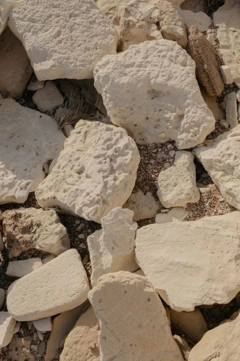 hinh-nen-menh-tho (22)