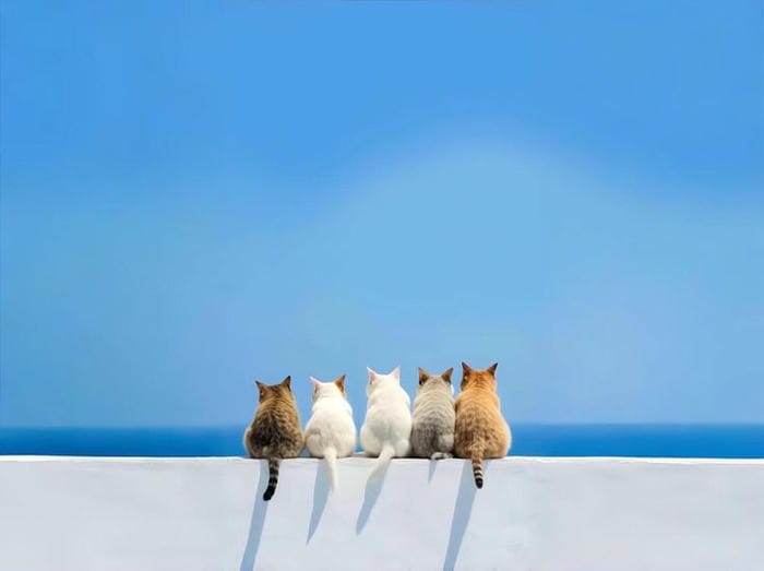 hinh-nen-minimalism-cho-may-tinh (29)