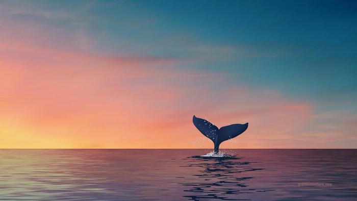 hinh-nen-minimalism-cho-may-tinh (31)