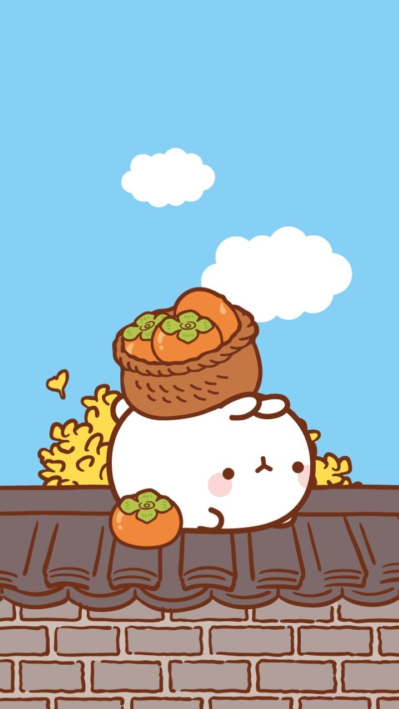 hinh-nen-molang (1)