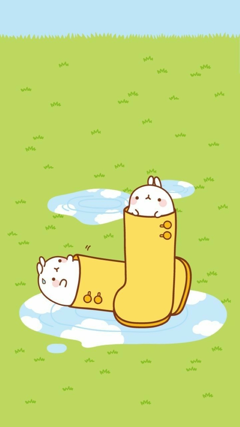 hinh-nen-molang (23)