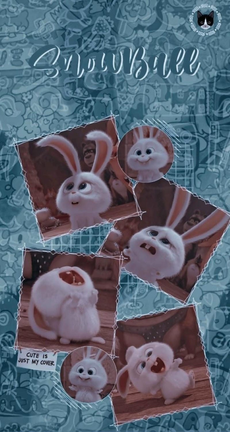 hinh-nen-snowball (15)