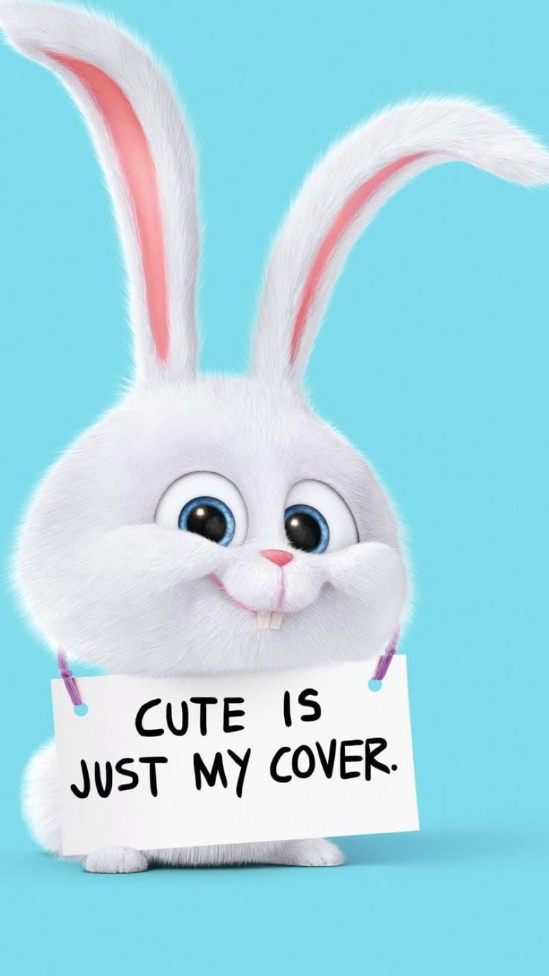 99+ Hình nền Snowball đáng yêu, siêu dễ thương cho fan hoạt hình